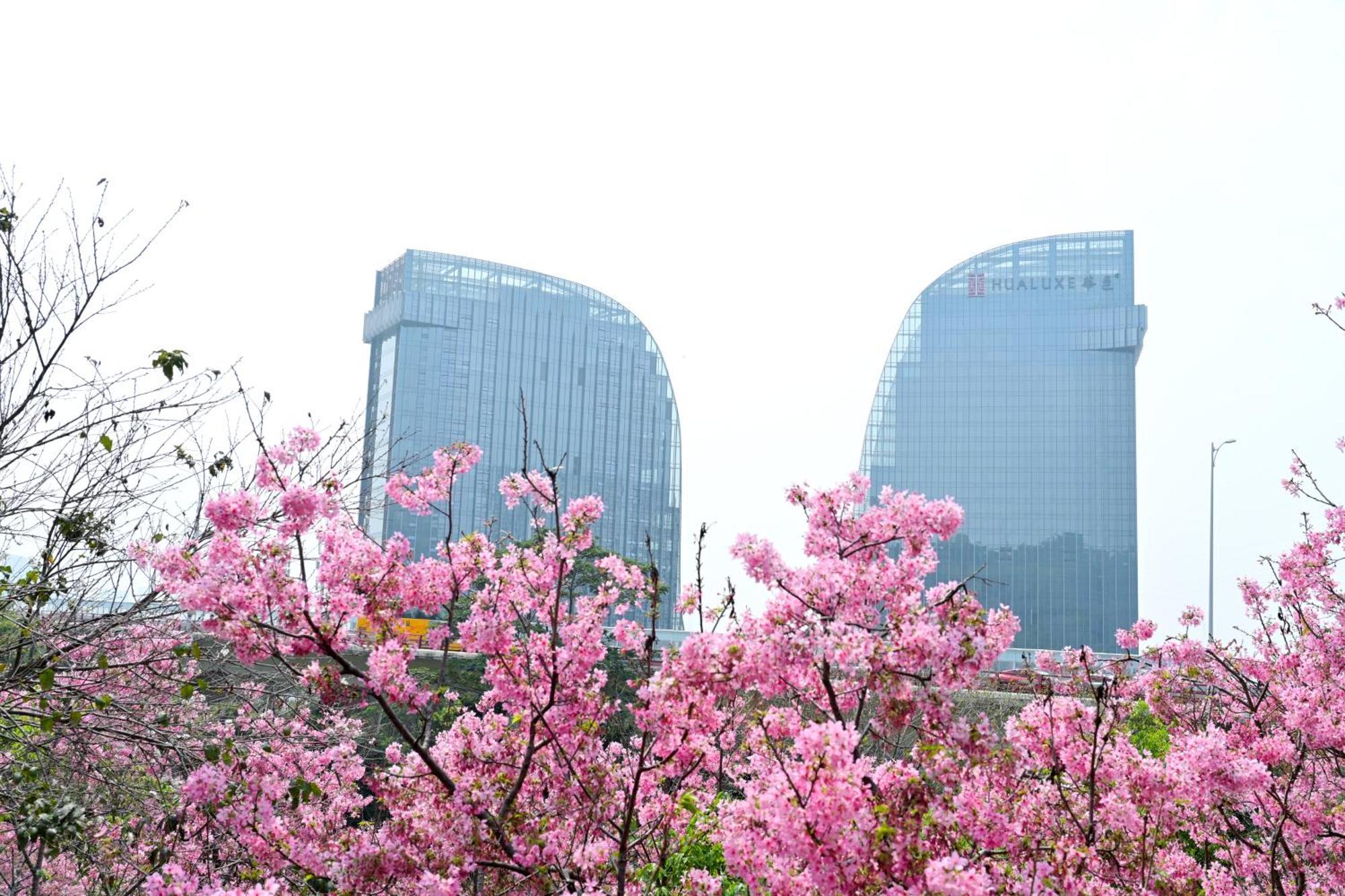 Hualuxe Xiamen Haicang Habour View ภายนอก รูปภาพ